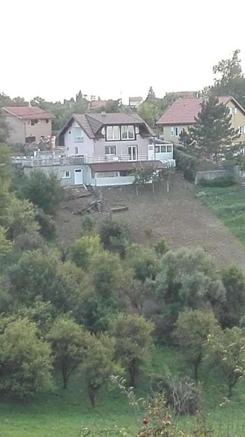 Panorama Apartman Molvice Екстериор снимка
