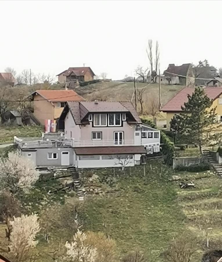 Panorama Apartman Molvice Екстериор снимка